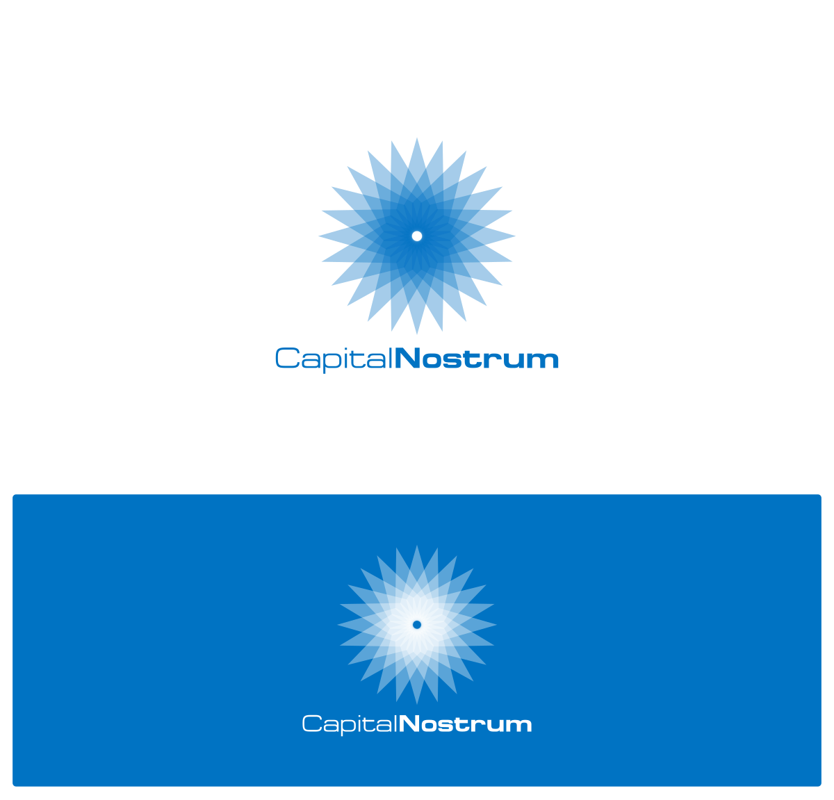 Logo Design by DesignMonkeyBH for NOVADRONE | Design #16410460