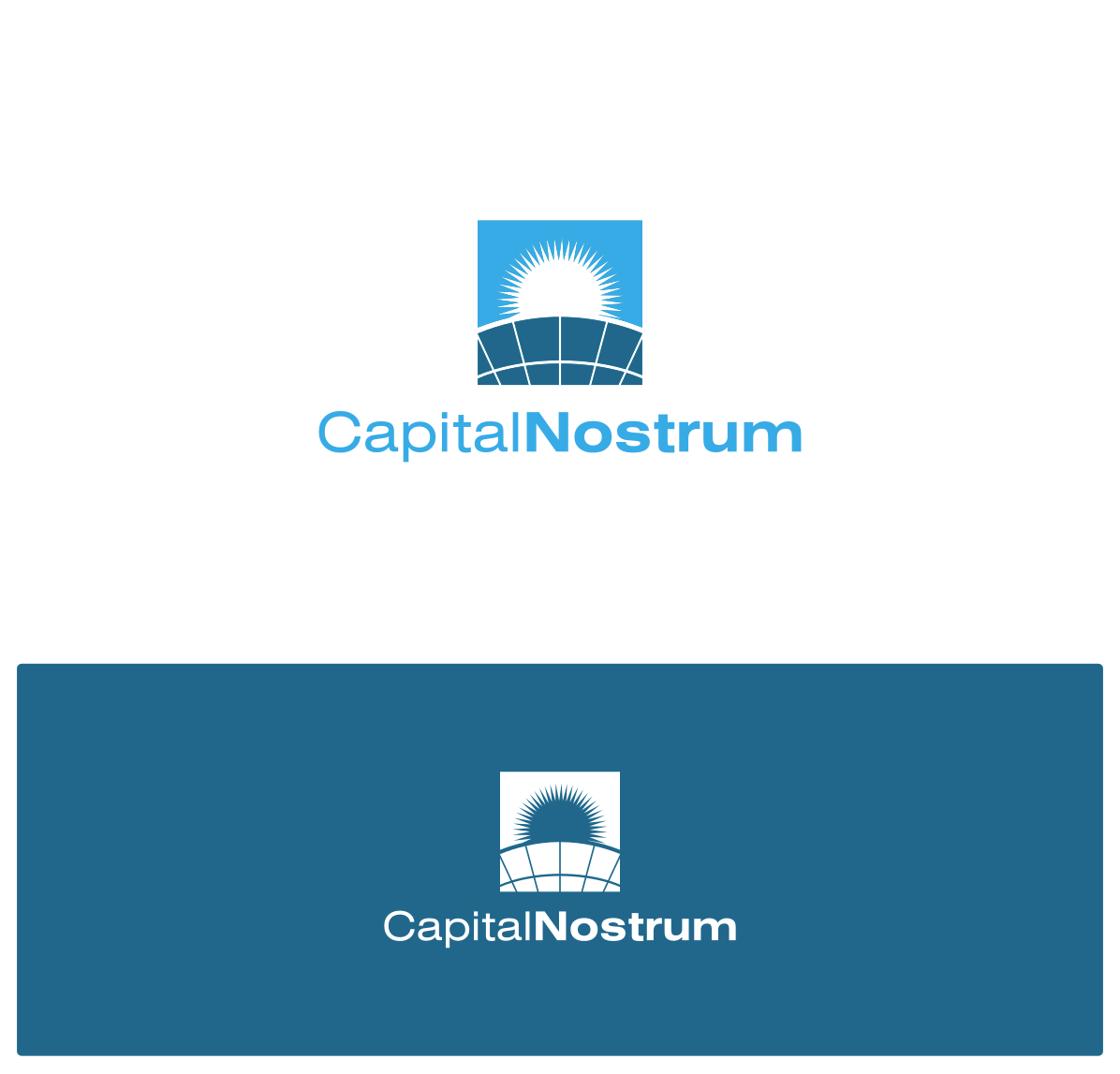 Logo Design by DesignMonkeyBH for NOVADRONE | Design #16410789