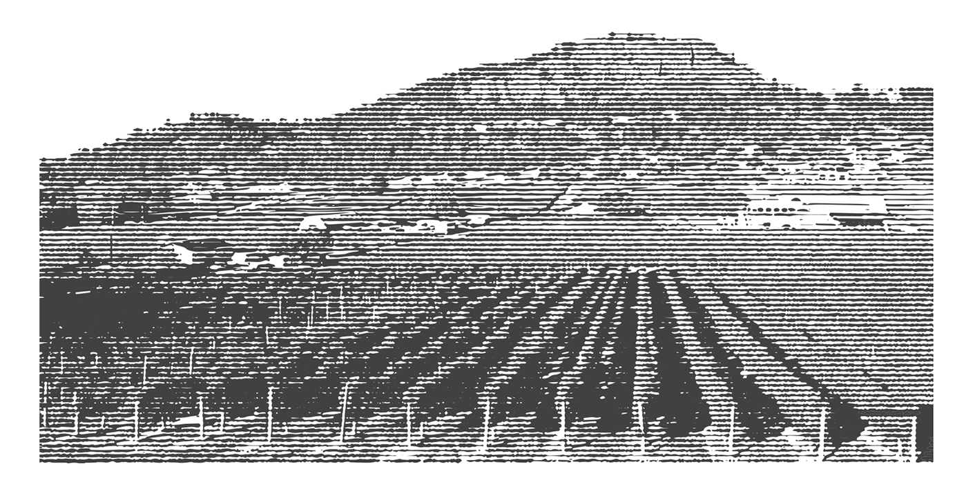 Packaging Design by The Freelance Designer for Mt. Boucherie | Design #16487513