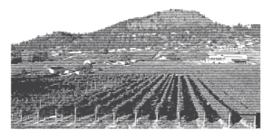 Packaging Design by The Freelance Designer for Mt. Boucherie | Design: #16487513