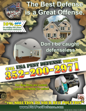 Flyer Design by Jay