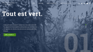 Web-Design von webxvision für dieses Projekt | Design: #16523084