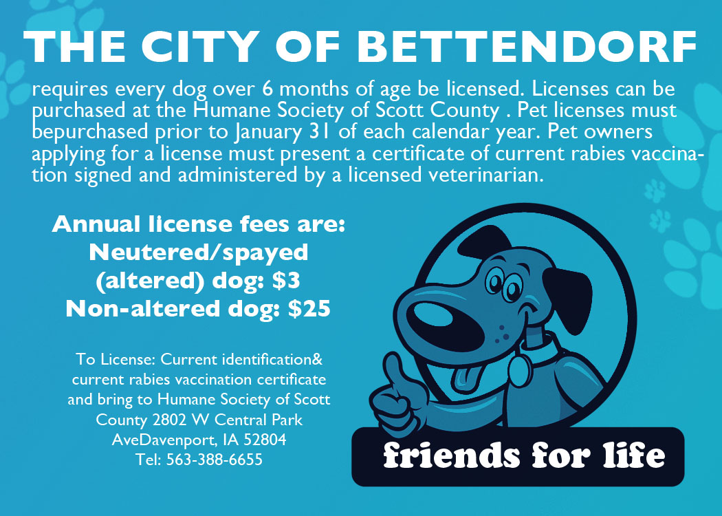 Karten-Design von Dahliab für dieses Projekt | Design #2718483