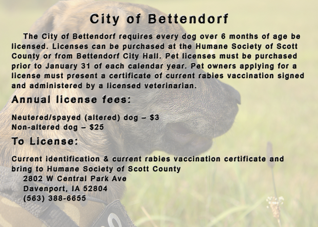 Card Design by Evangelist4boga for this project | Design #2650216