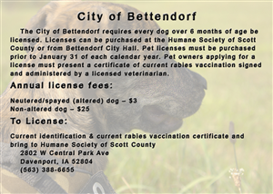 Card Design by Evangelist4boga for this project | Design: #2650216