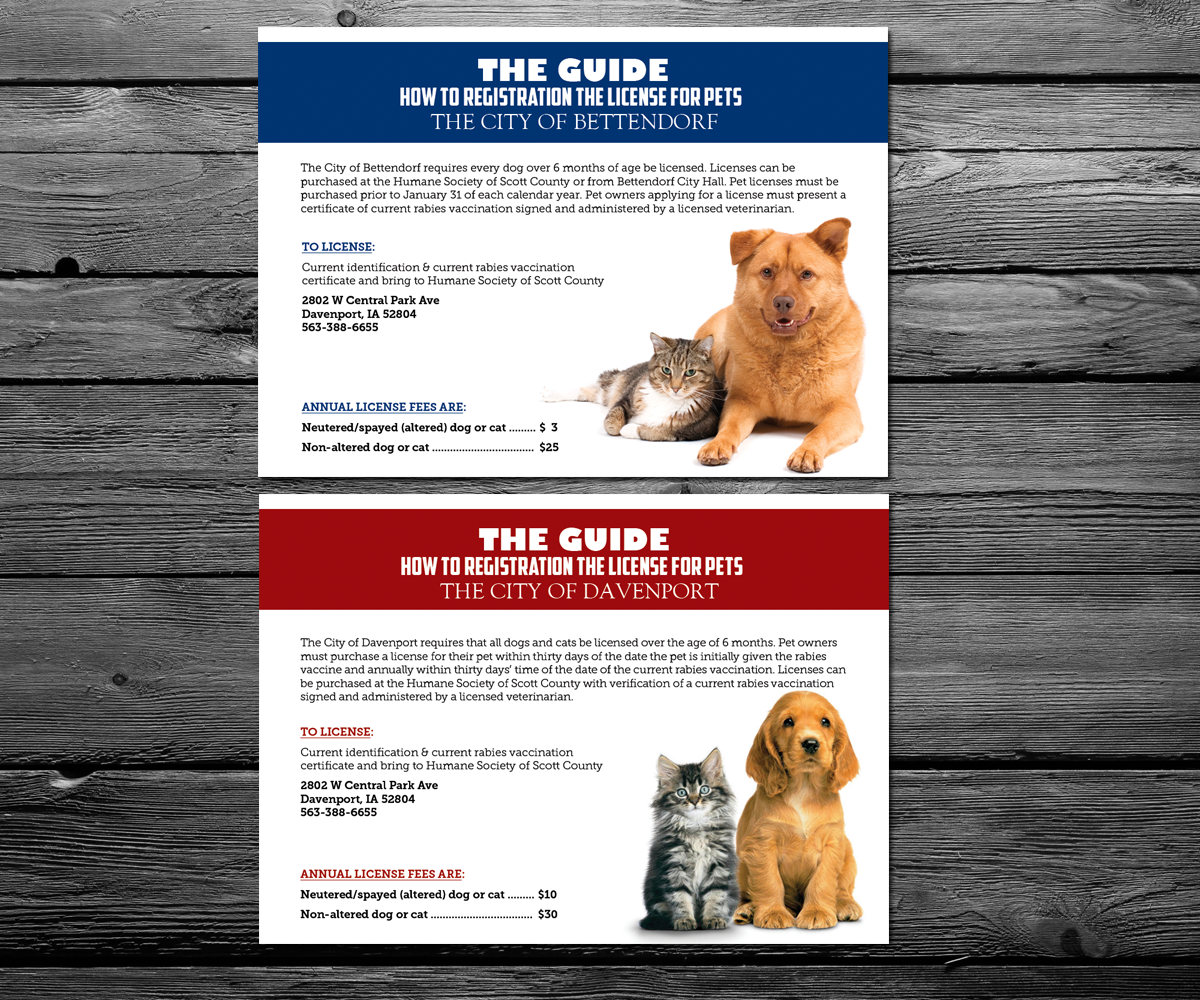 Card Design by anxongdzong for this project | Design #2697838