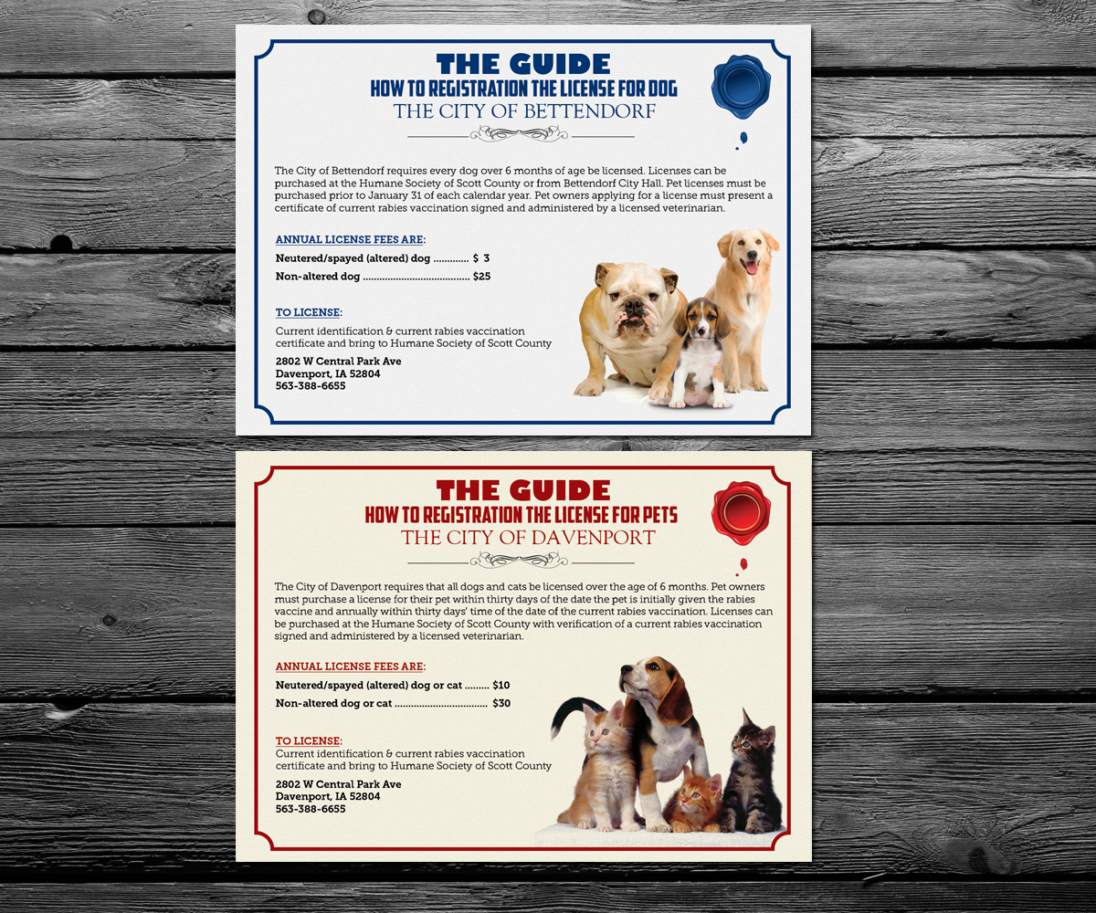 Card Design by anxongdzong for this project | Design #2702524