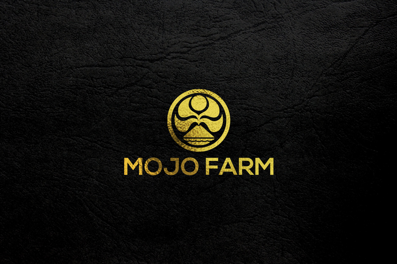 Diseño de Logo por poran para este proyecto | Diseño #16382017