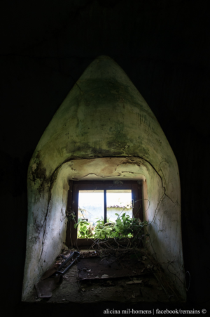 Photography by alicina