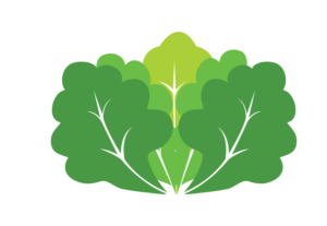 Diseño Artístico por Juthi para Enlightened Crops LLC | Diseño #16391546
