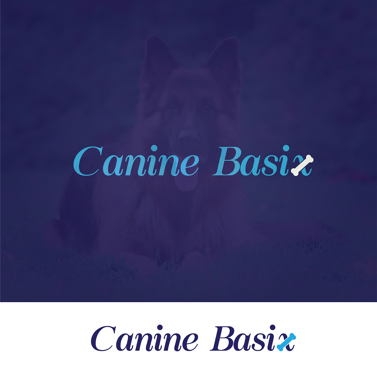 Logo Design by bdesigner9 for this project | Design #16390350