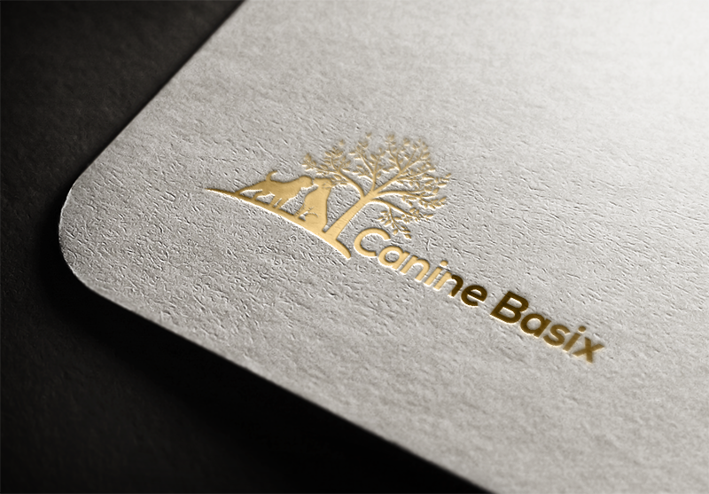 Logo Design by logoboss 3 for this project | Design #16396796