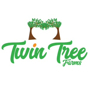 Logo Design by KreativeDesk