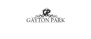 Logo Design by Mesa Graphics