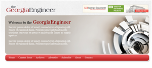 Web Design by Expert Designer for this project | Design #658820