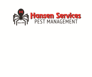 Logo Design by Hot Rod