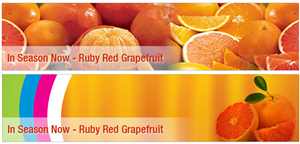 Banner Ad Design by Sunil