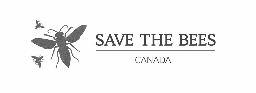 Logo Design by aniep for Boardwalk Management Services Inc. | Design #16410695