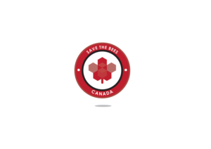 Logo Design by Matt Bradshaw