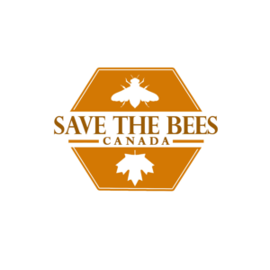 Logo Design by cvedesign for Boardwalk Management Services Inc. | Design: #16397739