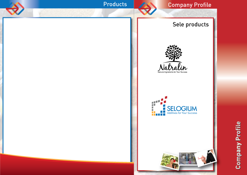 Catalogue Design by TedAtkinson for Sele Ingredients | Design #2668717