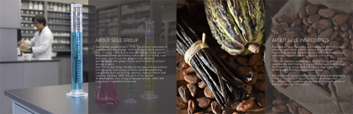 Catalogue Design by barinix for Sele Ingredients | Design #2663138