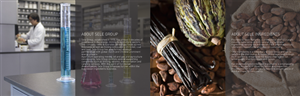 Catalogue Design by barinix