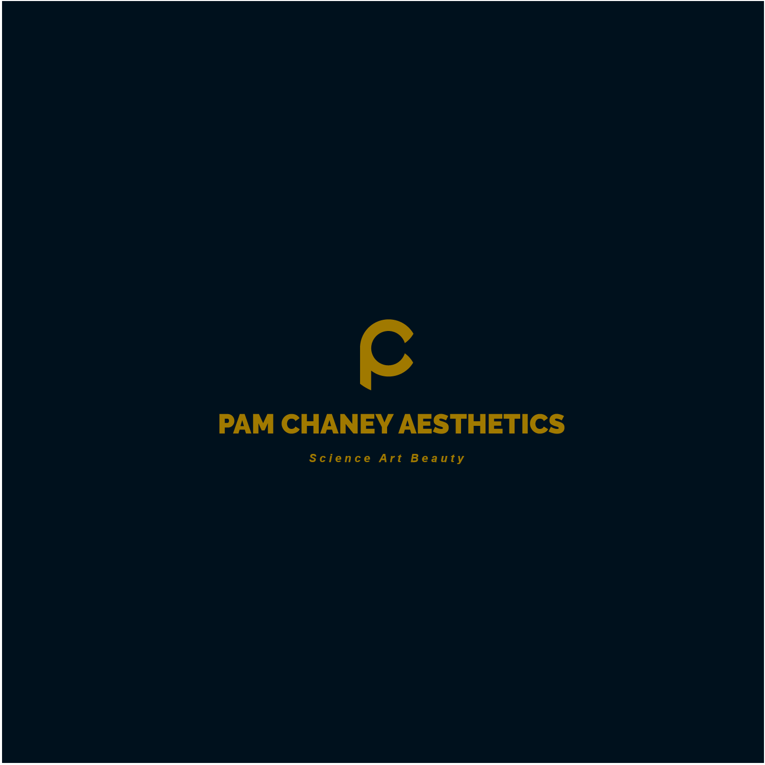 Logo Design by Lee Manu for PAM CHANEY AESTHETICS LLC | Design #16449968