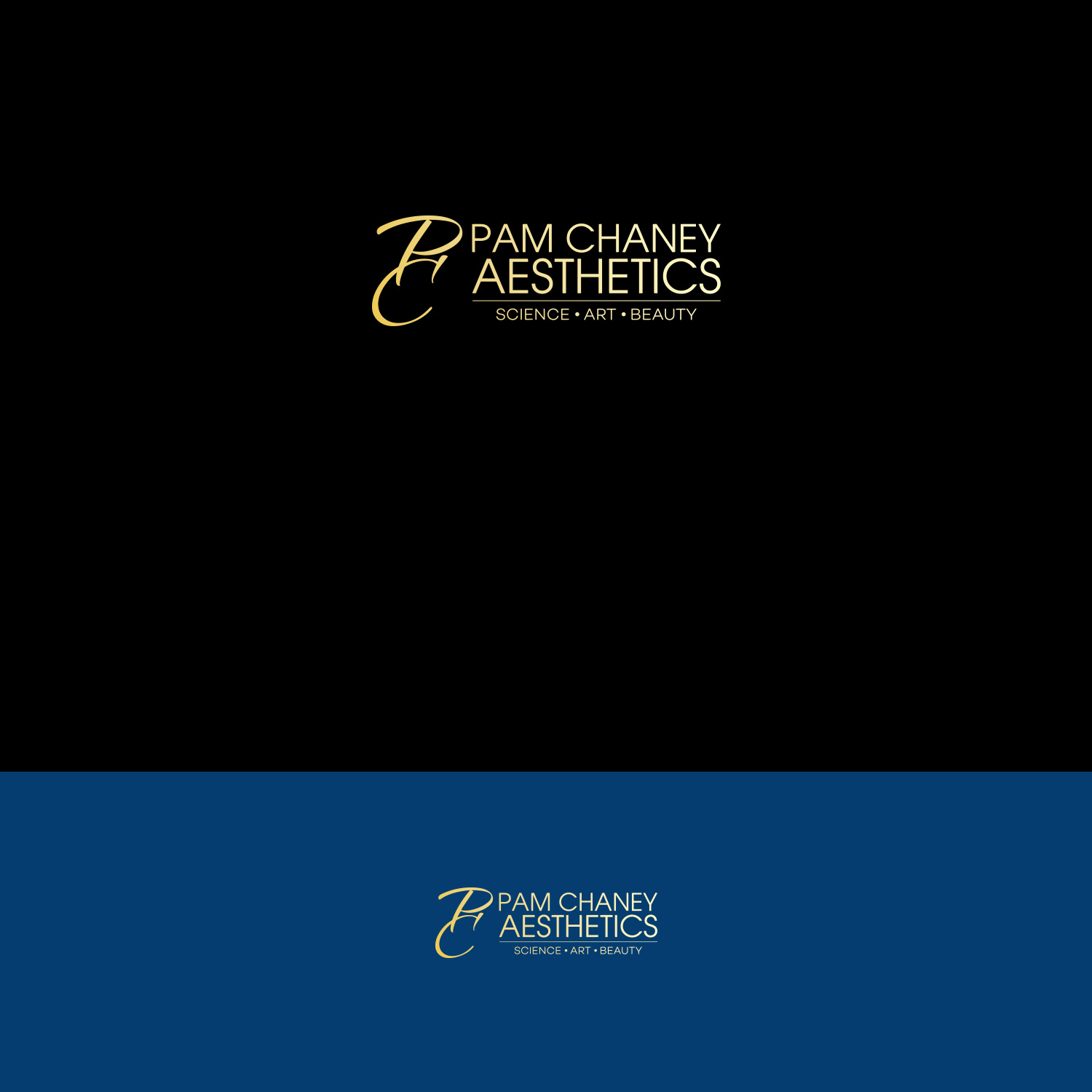 Logo Design by DesignDUO for PAM CHANEY AESTHETICS LLC | Design #16470590