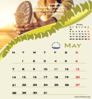 Print Design by Zeagle for Association of Chiropractic Malaysia | Design: #16666341