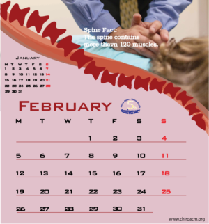 Print Design by Zeagle for Association of Chiropractic Malaysia | Design: #16666343