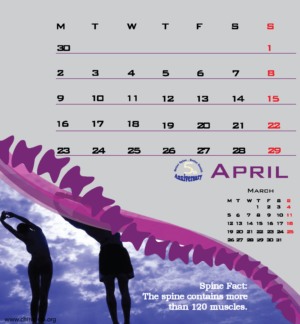 Print Design by Zeagle for Association of Chiropractic Malaysia | Design: #16666345
