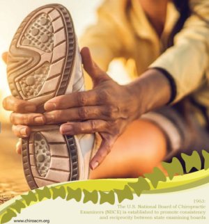 Print Design by Zeagle for Association of Chiropractic Malaysia | Design: #16677262