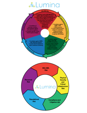 Infographic Design by DesignerGuide for Lumina Analytics | Design #16399807