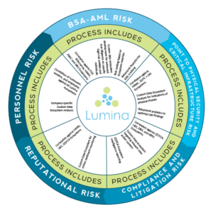 Infographic Design by pecgi for Lumina Analytics | Design #16415005