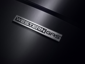 Logo Design by GaryMckinnon for Western Gas | Design: #16423361