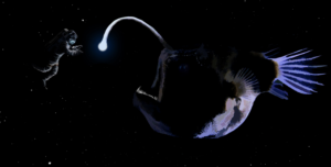 T-shirt Design by okeo for Earthient | Design: #16585609