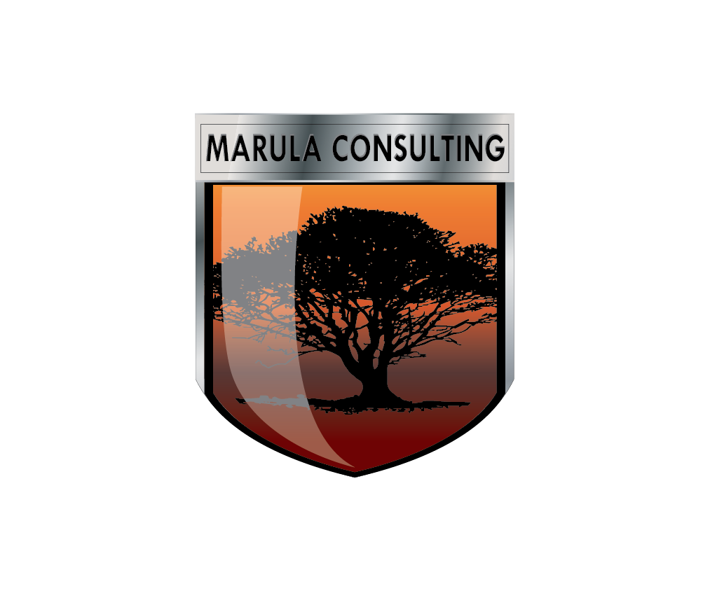 Diseño de Logo por EvilSparda para este proyecto | Diseño #2675278