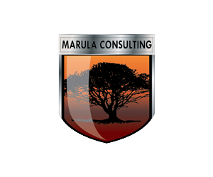 Design de Logo par EvilSparda pour ce projet | Design #2675278