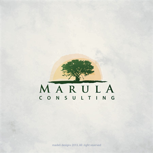 Consulting Company logo | Logo Design by Alex Martin