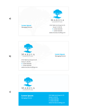 Business Card Design by Brajpal Freelance Website Designer