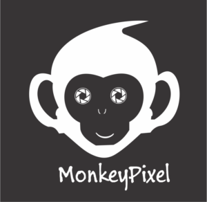 Logo Design by babaty for Monkeypixels | Design: #16487826