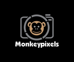 Logo Design by Modern_designer for Monkeypixels | Design: #16428822