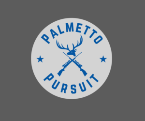 Diseño de Logo por IconicEcho para este proyecto | Diseño: #16432339