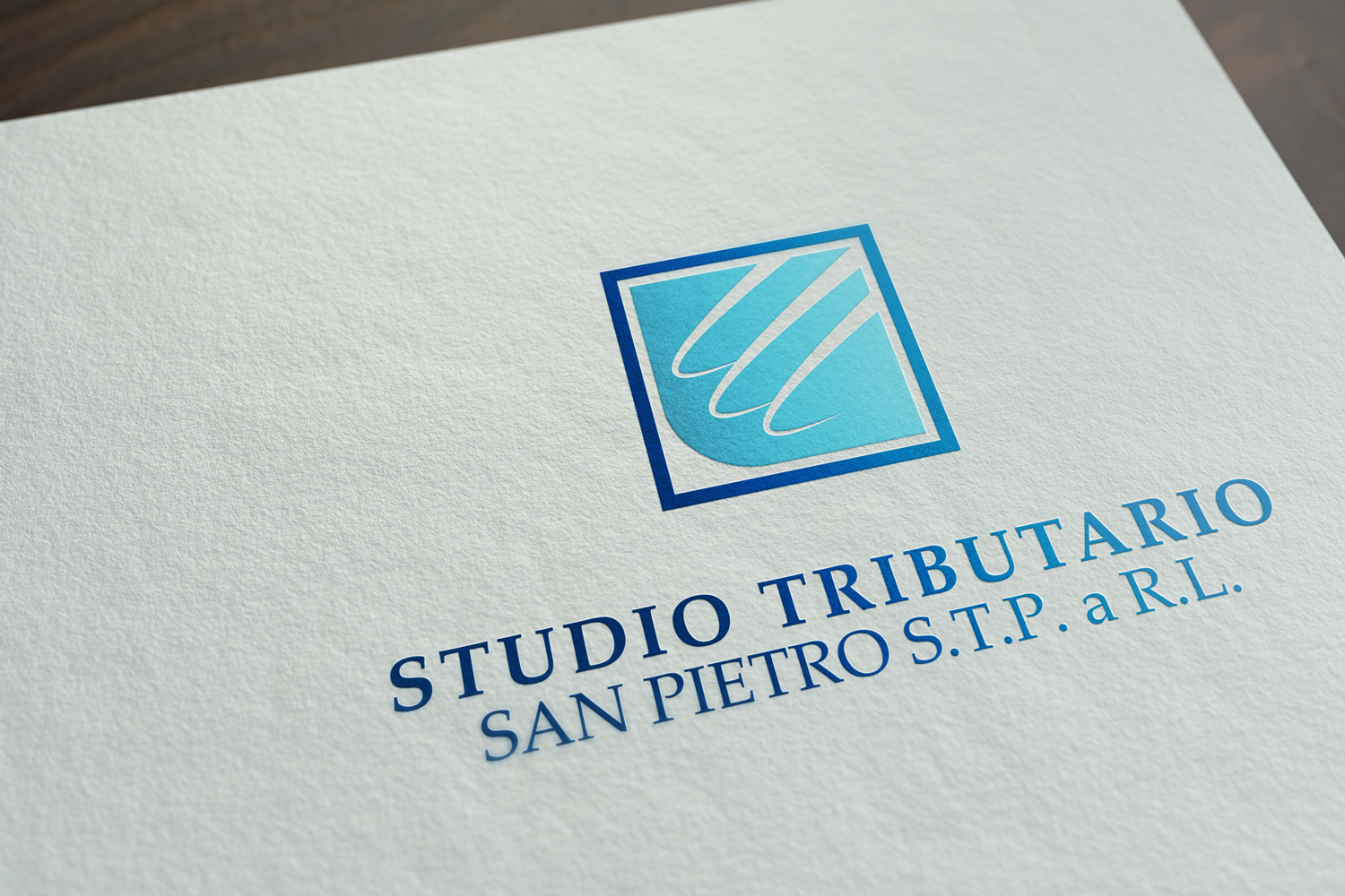 Logo Design by FLoc! Studio for dmnet snc | Design #16505087