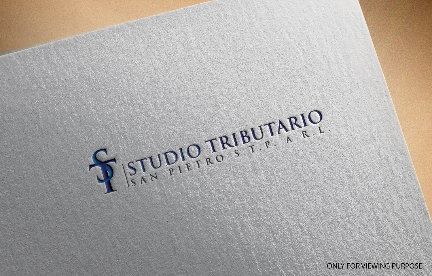 Diseño de Logo por Sanga6 para dmnet snc | Diseño: #16458339