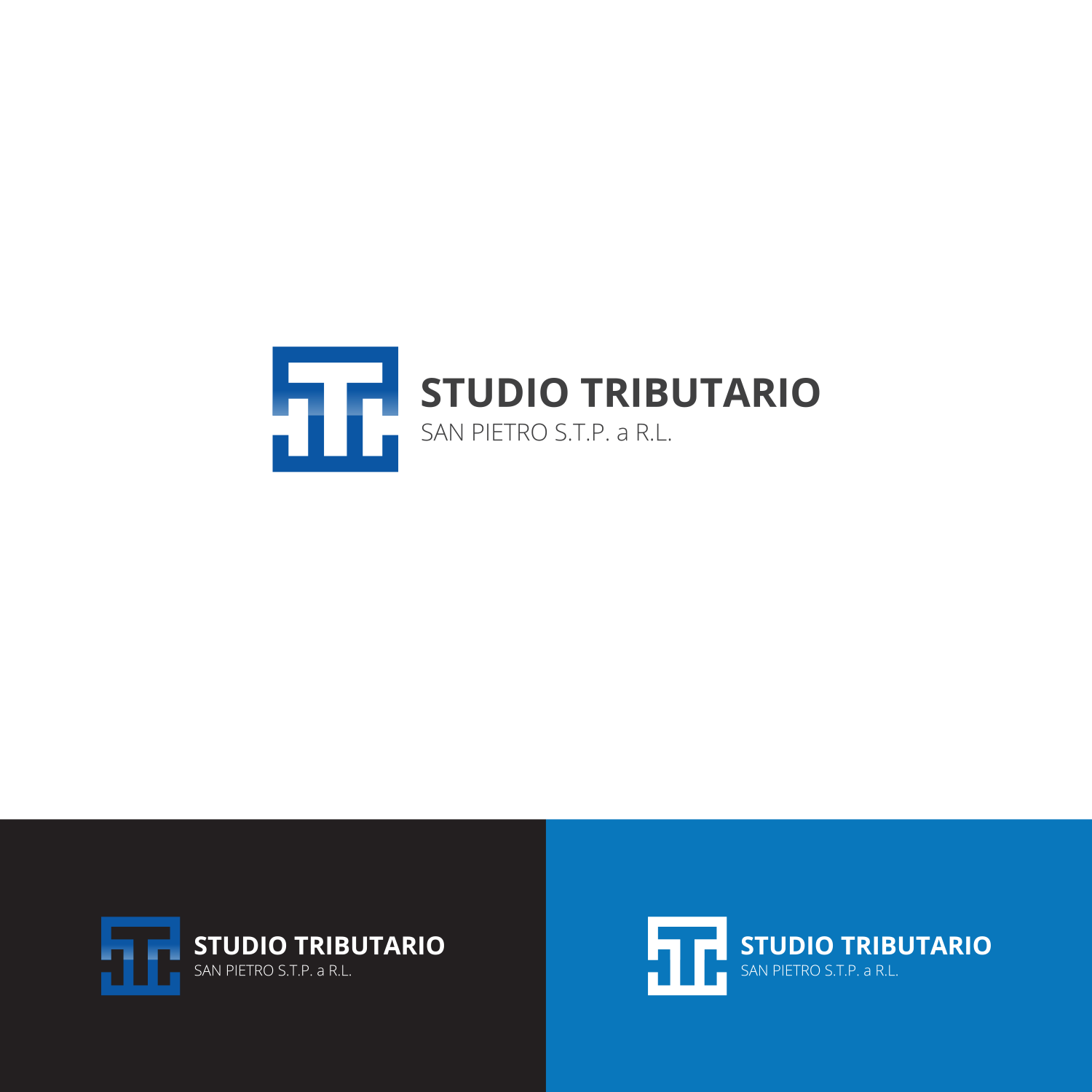 Logo Design by BRAT STUDIO for dmnet snc | Design #16442174