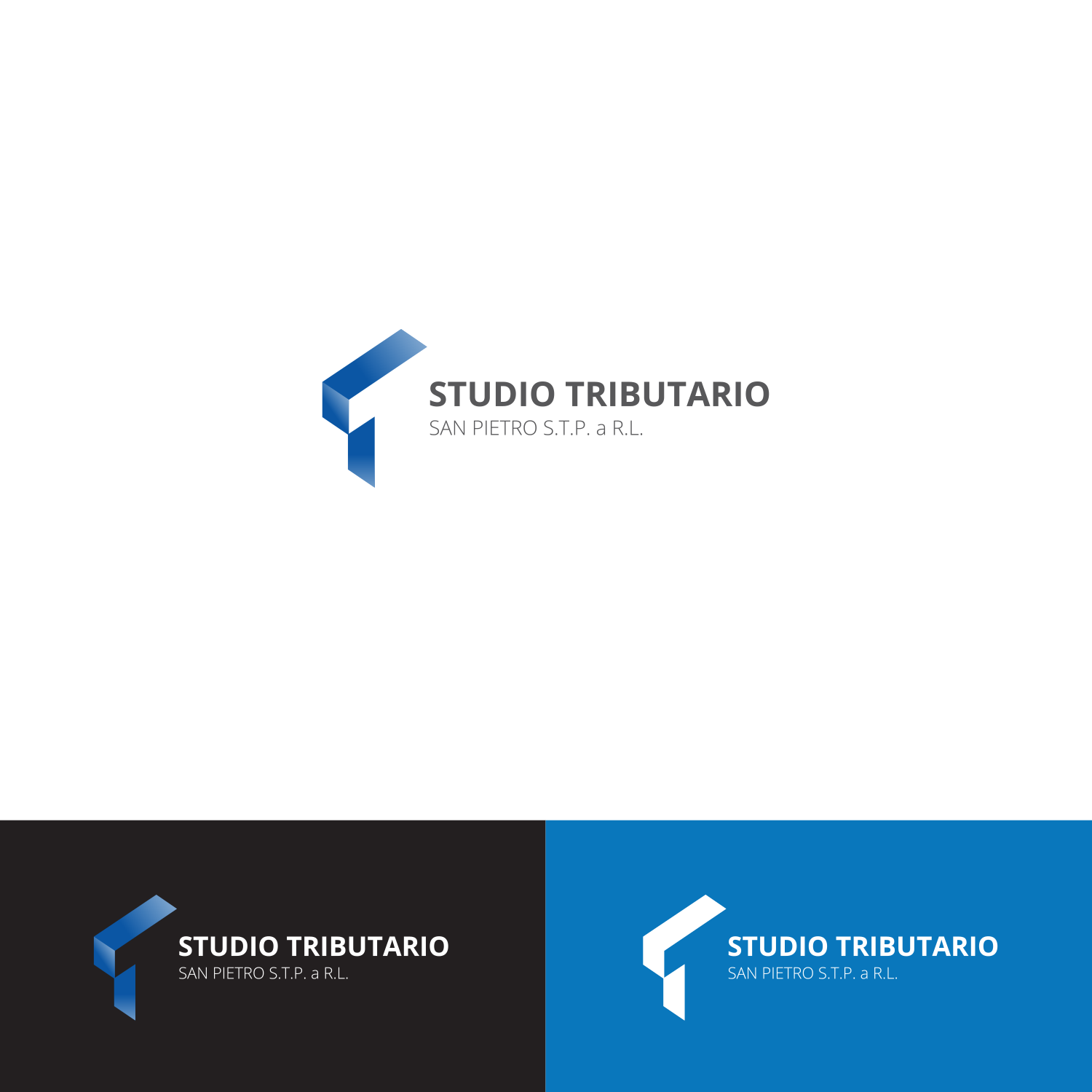 Logo Design by BRAT STUDIO for dmnet snc | Design #16442175