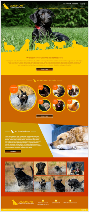 Web-Design von -Marc- für dieses Projekt | Design: #16528904