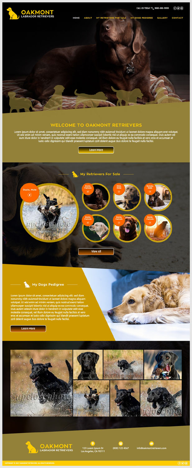 Web Design by -Marc- for this project | Design #16529773